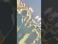 FOTOLEX DTV | Live Performance | Tbilisi 🤙 Unreal Skill!💪 Armenian Dance Vibes
