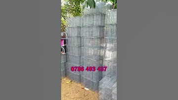 Cung cấp lồng bẫy chuột đầy đủ các loại, giao hàng toàn quốc #shorts