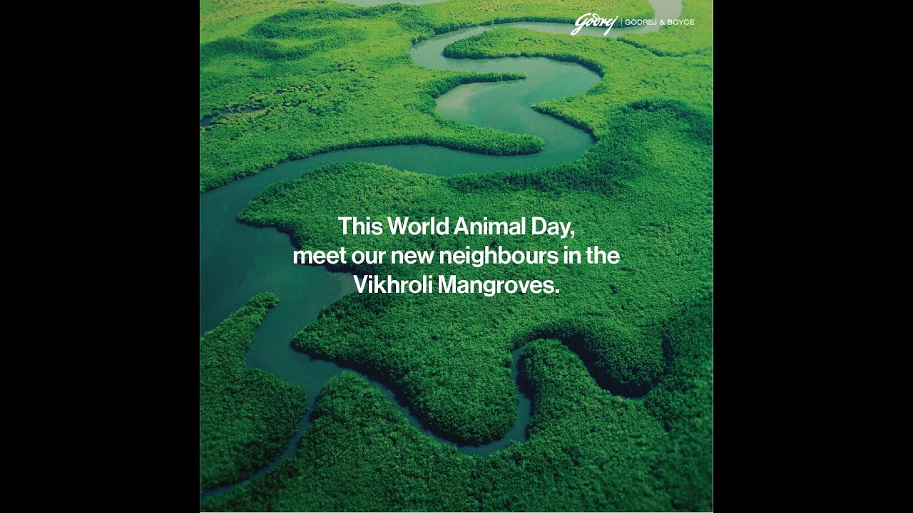 World Animal Day 2022