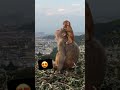 Oh No! π¨ Unexpected Object Video