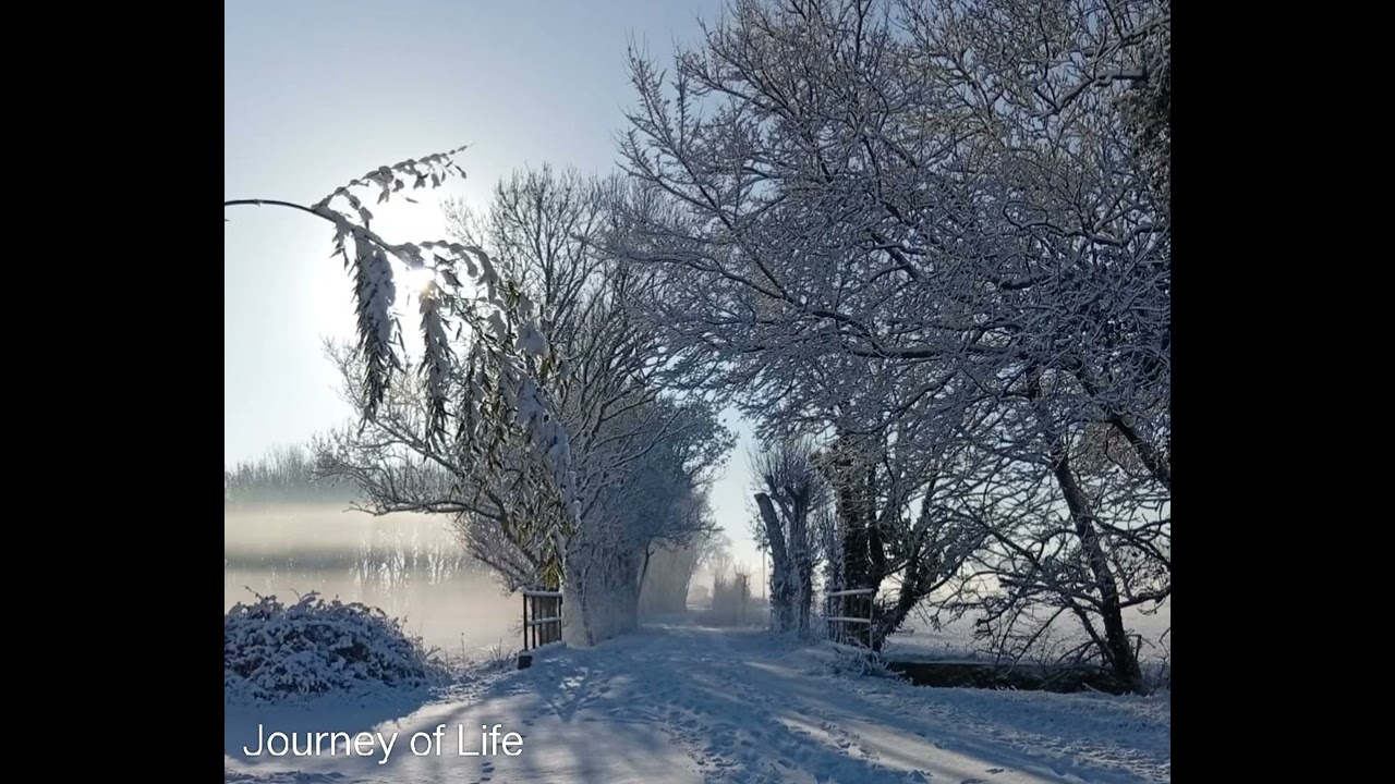 Journey of Life | Raaga Raasa | Meditation Music | Subrata De  | A painting on Sitar Canvas