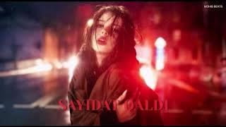 Haneen Elshater - Sayidat Qaldi (Vayko Remix)