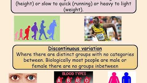10 1 2 Continuous and discontinuous variation amended 2