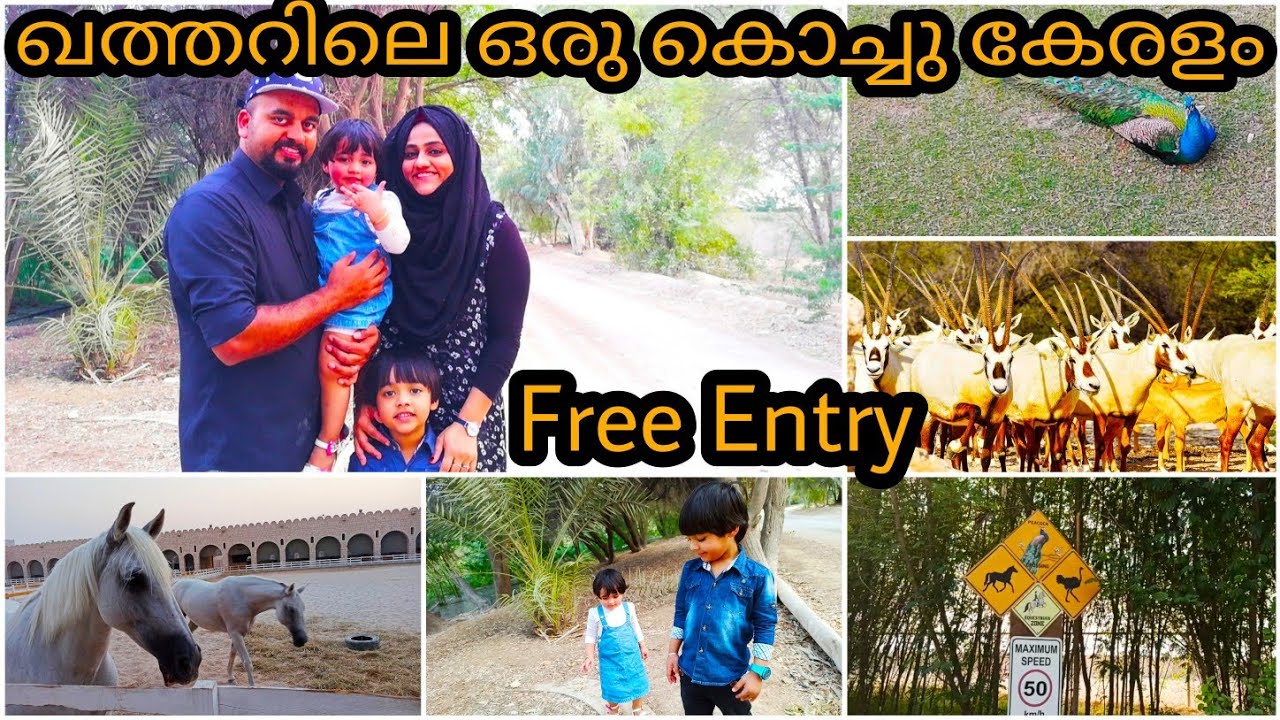 Sheikh Faisal Bin Qassim Museum & Farm Qatar |Free Entry |Qatar Malayali Family Vlog|Mehnaz Nishad