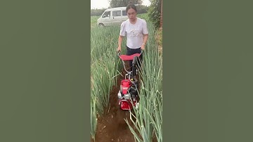 #Green onion trenching and soil raising machineGinger field trenching and soil raising machine#Easy