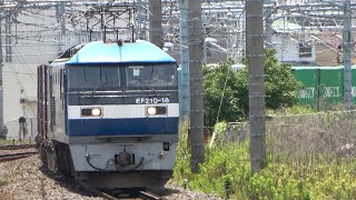 2021/06/11 JR Freight: Cargo Train by EF210-18 at Ofuna