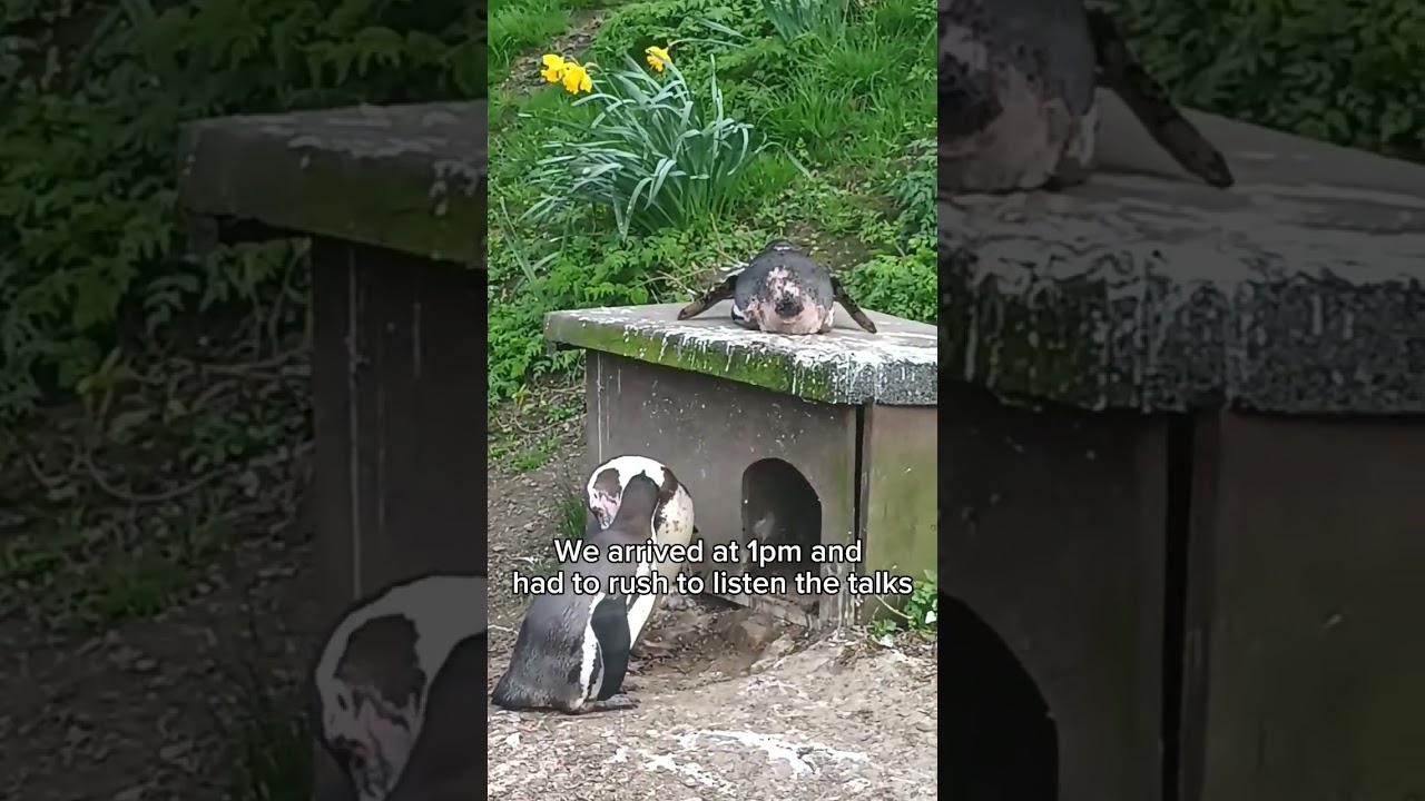 Family day out near Birmingham 