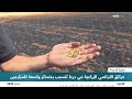 حرائق الأراضي الزراعية في درعا تلحق خسائر كبيرة بالمزارعين