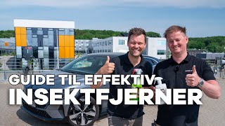 Insektalarm Sådan Slipper Du Af Med Insekterne På Bilen Bilguiden