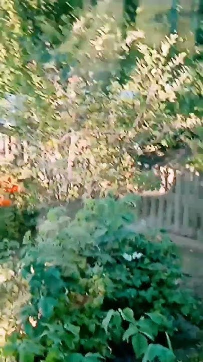 красивый вид из кровати на второй этаж - YouTube