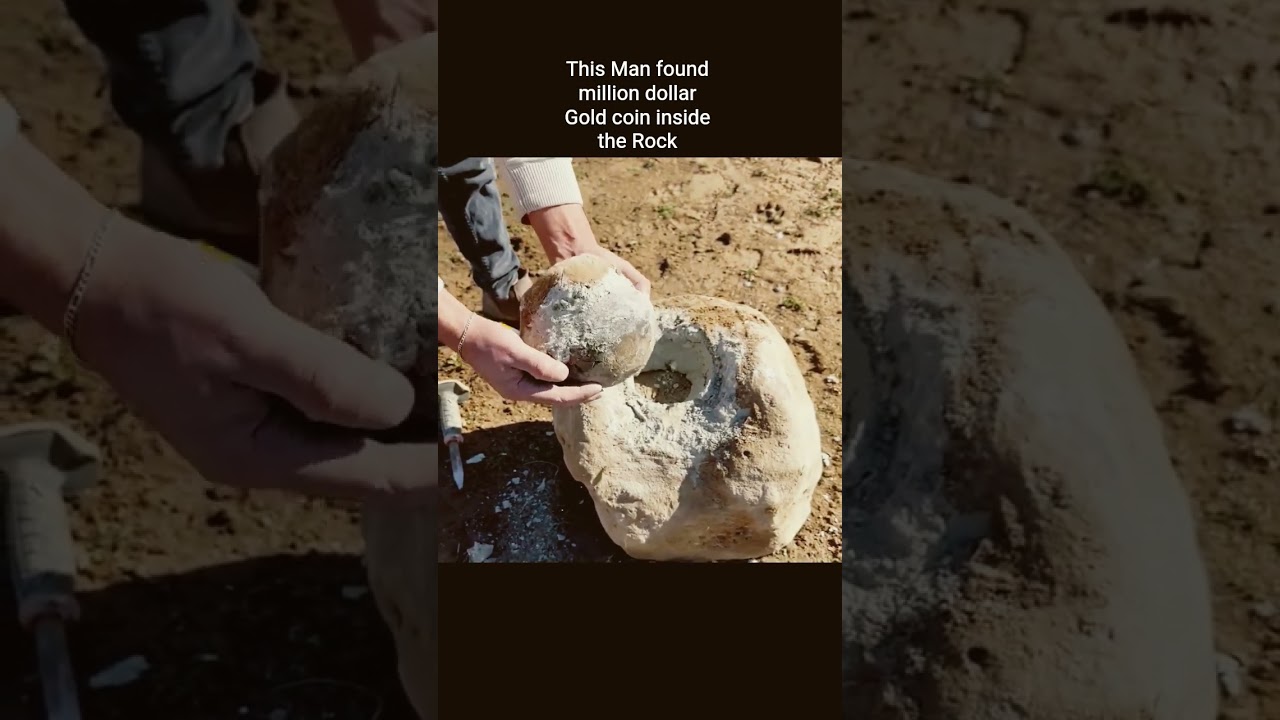 We Found a Real Life Treasure!