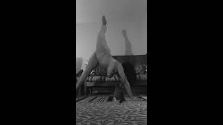 Day 22 Beginner Yoga Challenge