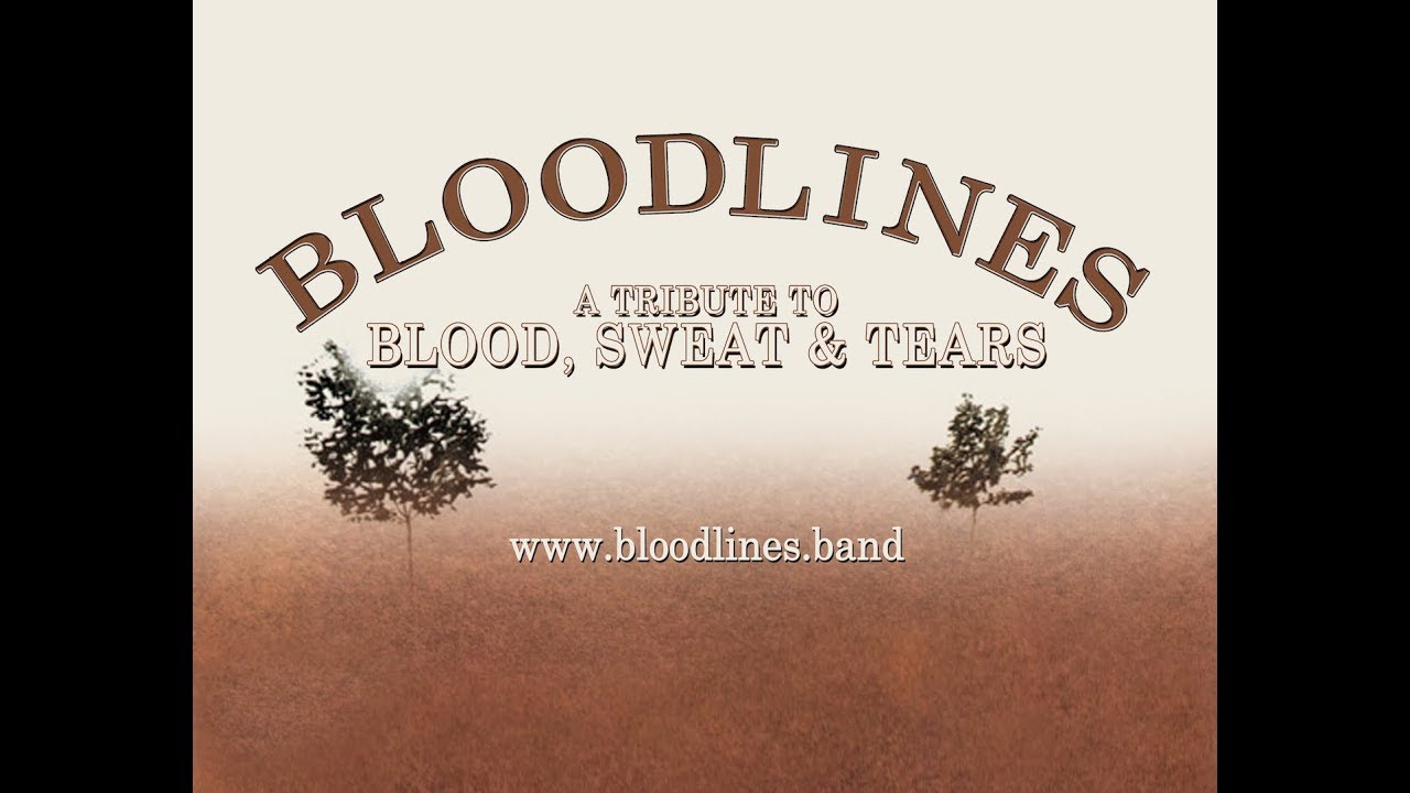 Blood Sweat & Tears I Love You More Than You'll Ever Know performed by BLOODLINES