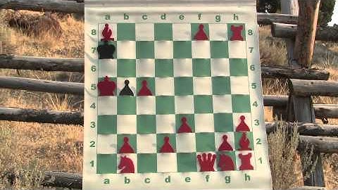 Chessercise! Bronstein