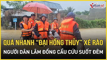 Quá nhanh: “Đại hồng thủy” xé rào quần thảo Lâm Đồng, người dân cầu cứu suốt đêm, ngập sâu đến 3.5m