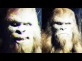 HUNTER Captures SHOCKING BIGFOOT VIDEO and STUNS the Internet