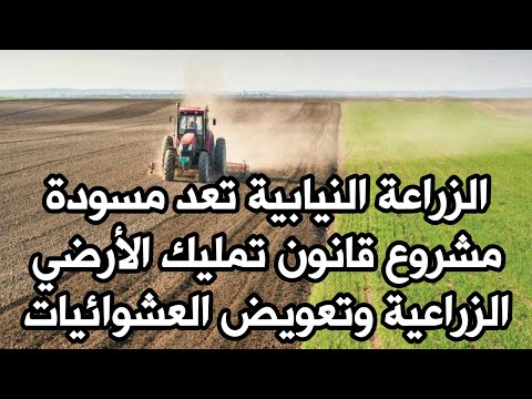 الزراعة النيابية تعد مسودة مشروع قانون تمليك الأرضي الزراعية وتعويض العشوائيات