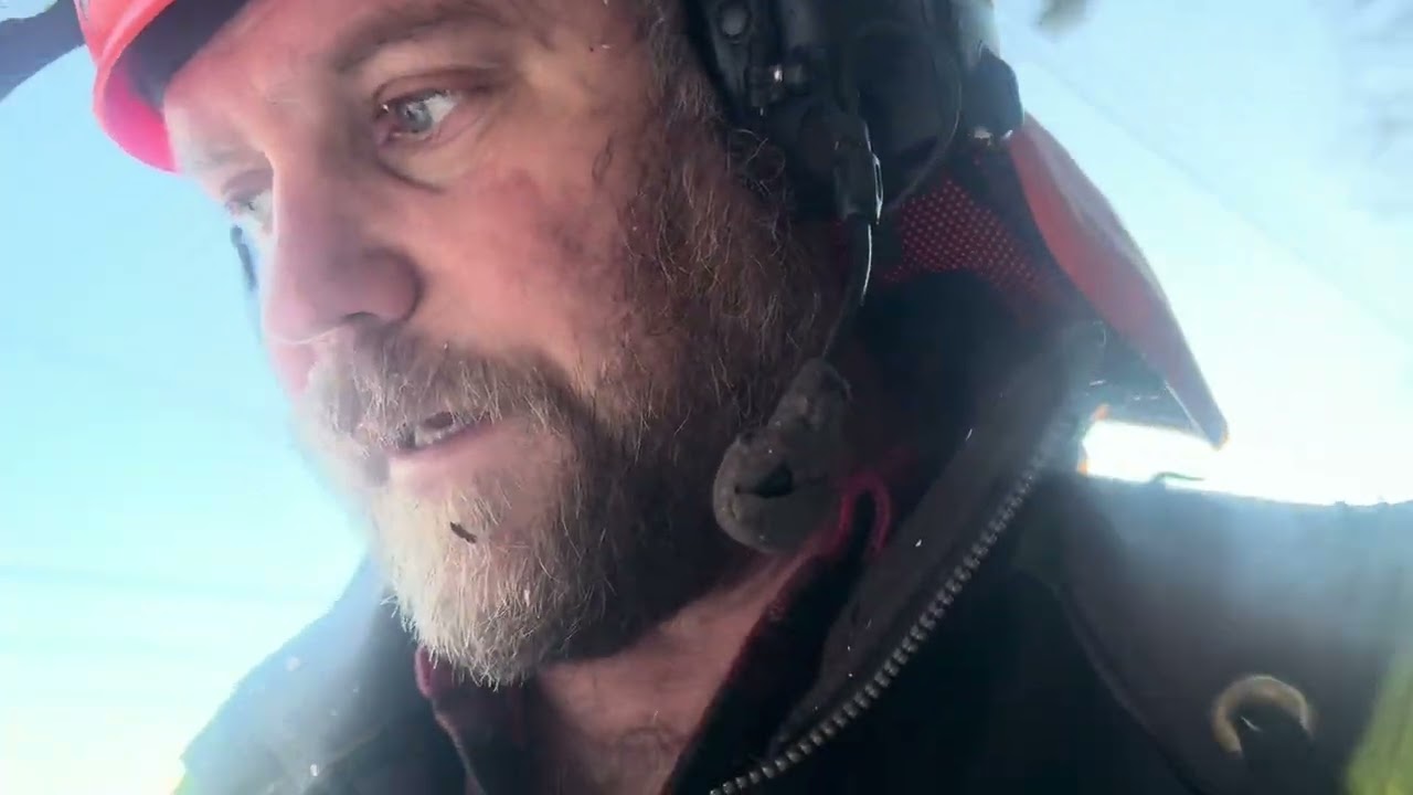 Kämpar på i skogen. Hittade en tjärstubbe att ta hem