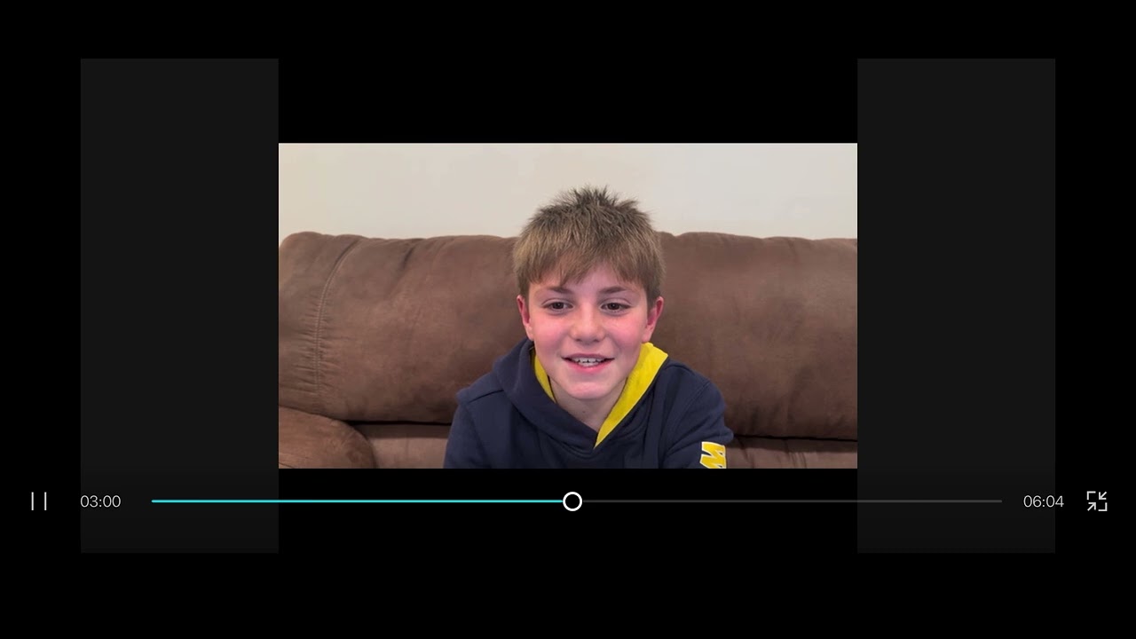 ap art history indigenous art alex