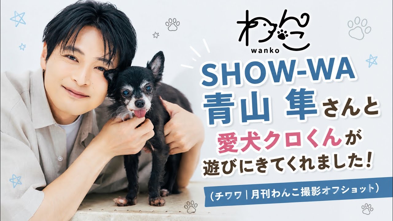 SHOW-WA・青山 隼さんと愛犬クロくんが遊びにきてくれました!(チワワ|月刊わんこ撮影オフショット)
