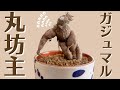 【冬に落葉した観葉植物はどう管理する?】これって枯れてる?冬に丸坊主になった観葉植物の復活術
