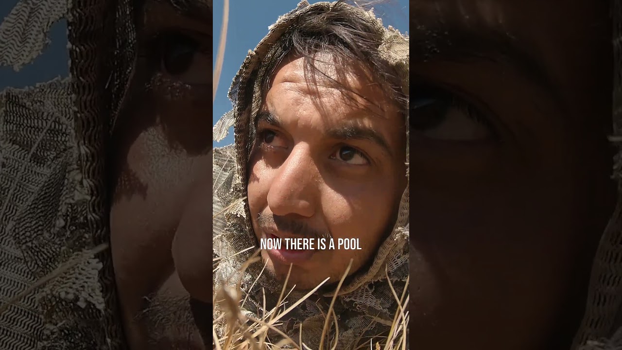 Filming Brown Bears in Deosai 