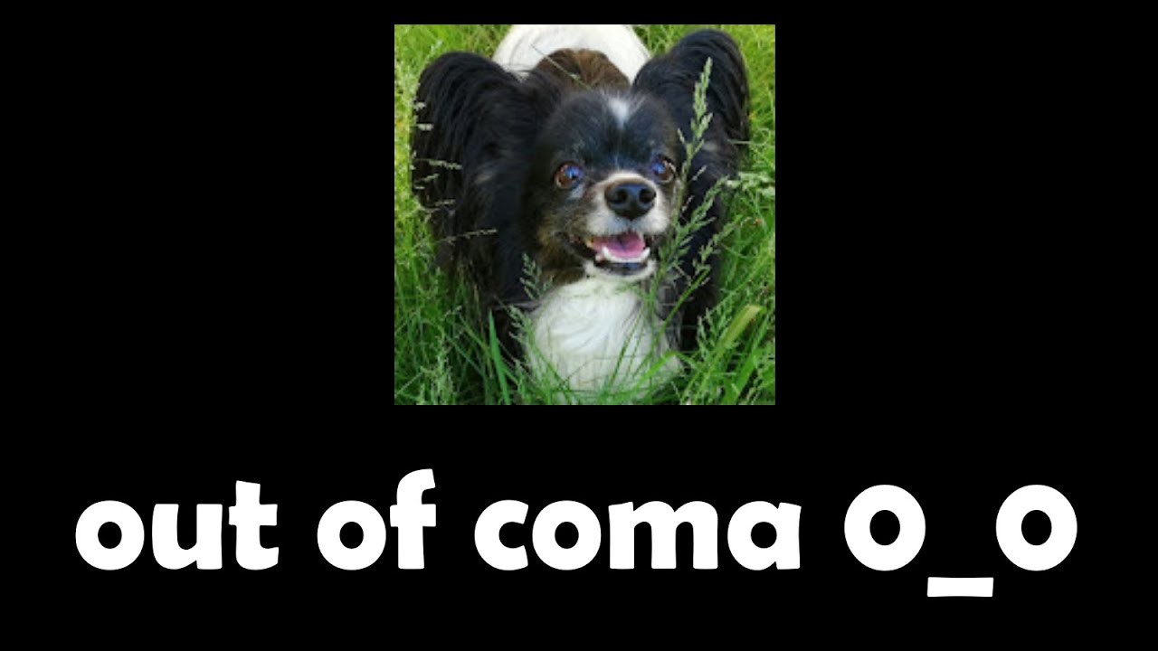 KalorXD Is Out Of Coma