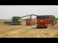 Ukraine Semer Malgré La Guerre 