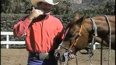 Proper Training Bit Adjustment