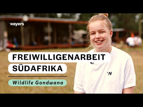 Teilnehmerinterview I Clarissa