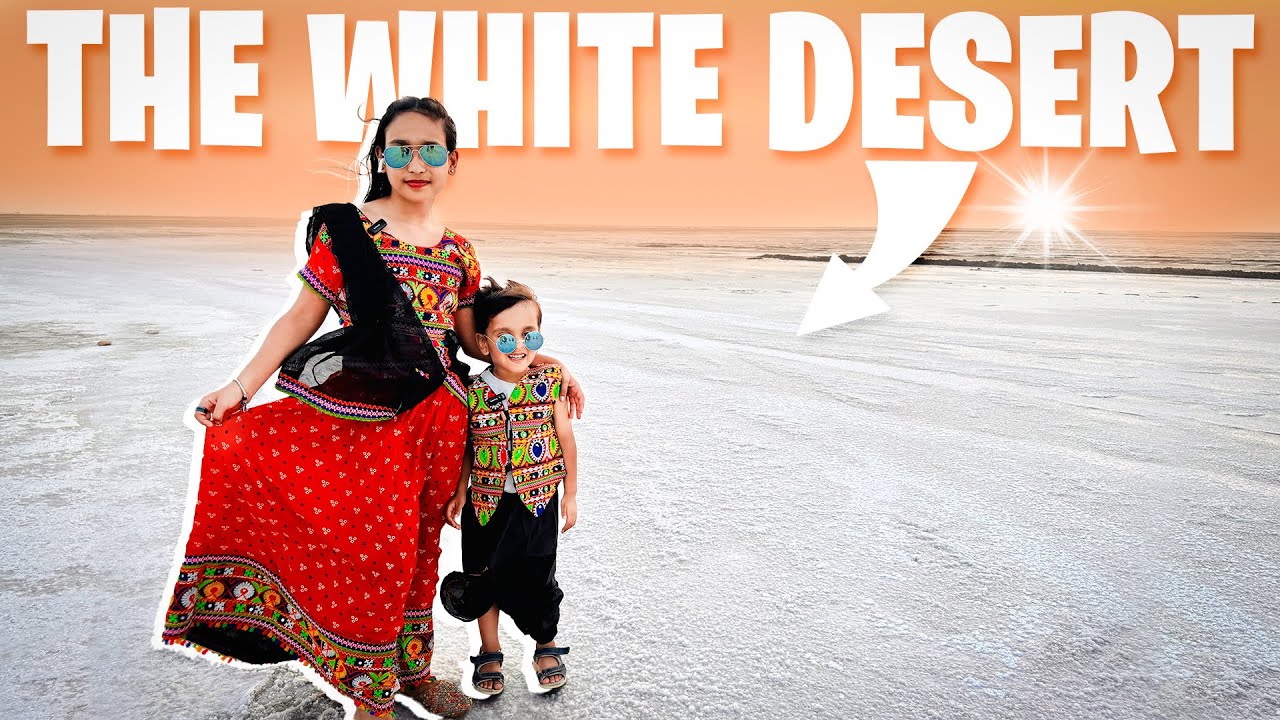 Bangalore to Gujarat Ep-9 🚗 | Dholavira Harrapan civilization | Road To Heaven | White Desert Raan