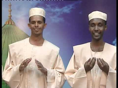 جديد المديح فرقة مرافي الموسيقار عجاج حمدالنيل