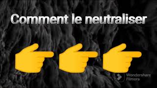 Comment supprimer les virus syswin 🤖 237 #informatiquenewstv #virus #viral