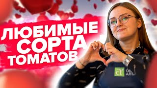 САМЫЕ ВКУСНЫЕ, УРОЖАЙНЫЕ И УСТОЙЧИВЫЕ ТОМАТЫ! Наши любимые сорта