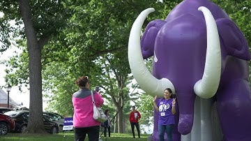 Orientation 2019 - Amherst College