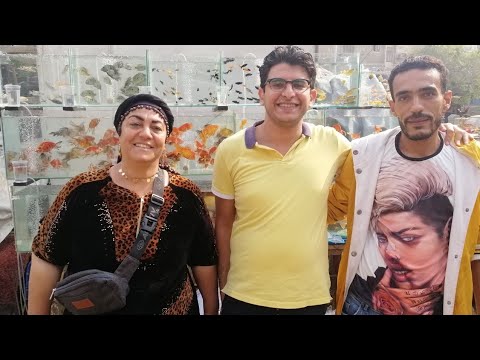 احلي تشكيلة سمك زينه من ام حنان من داخل سوق السيده عائشه 