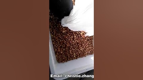hazelnut shells separating machine