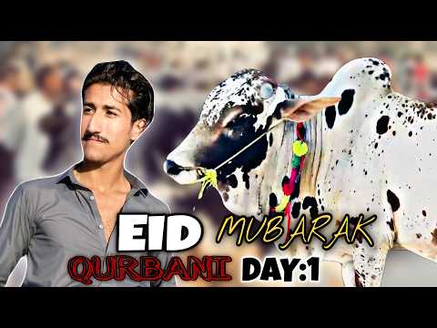 EID UL ADHA MUBARAK 😍 | Qurbani day 1 | Abdy Scenes 🫨