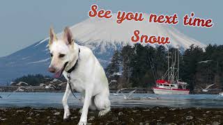 Snow at Pawtown