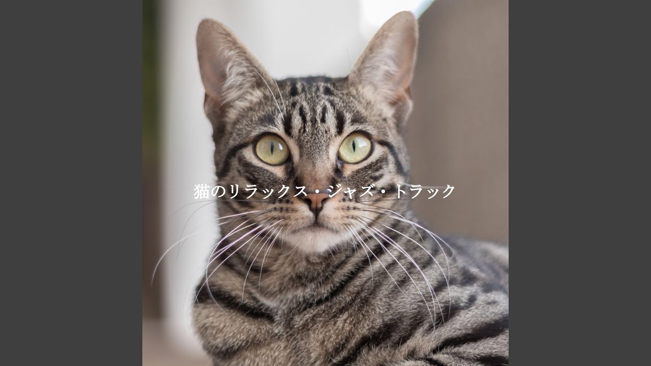 Beautiful Music for Cat Friendly Puppy