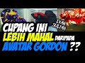 Top 10 most expensive betta in 2021  ikan sultan  10 cupang termahal