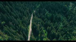 ⁣4K Amazon || Amazonforest || Way in forest of nature || #viral #viralvideo @ScenicRelaxationFilms