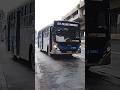 Caio Apache Vip4 Da SAMBAÍBA #brasil #onibus #urbano #shorts #saopaulo #emalta