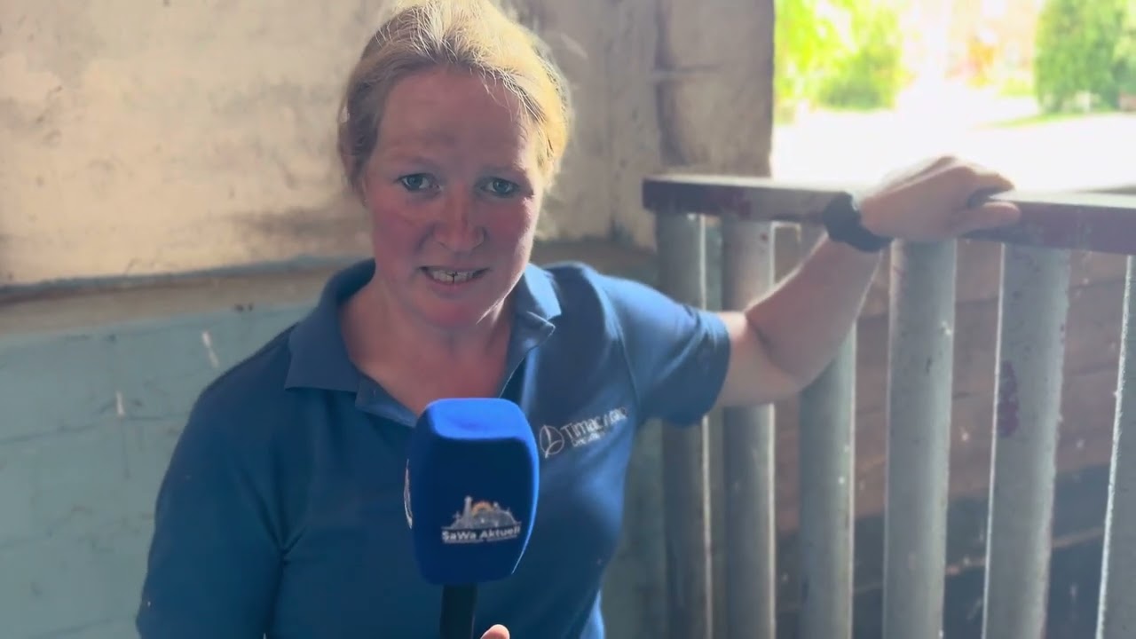 Wollschweine müssen gehen – Trotz Genehmigung! 🌲