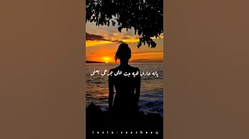حالات واتس آب يلا عادي اصاله 