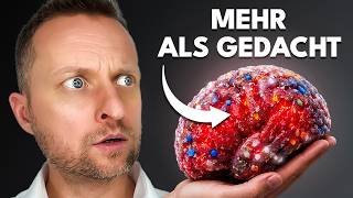 Neue Studie: Mikroplastik im Gehirn nimmt dramatisch zu