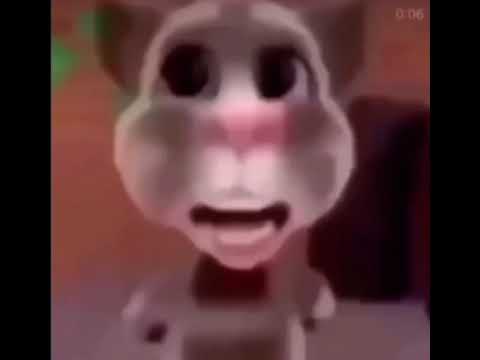 Bruh what the hell boy (Talking Tom Meme)