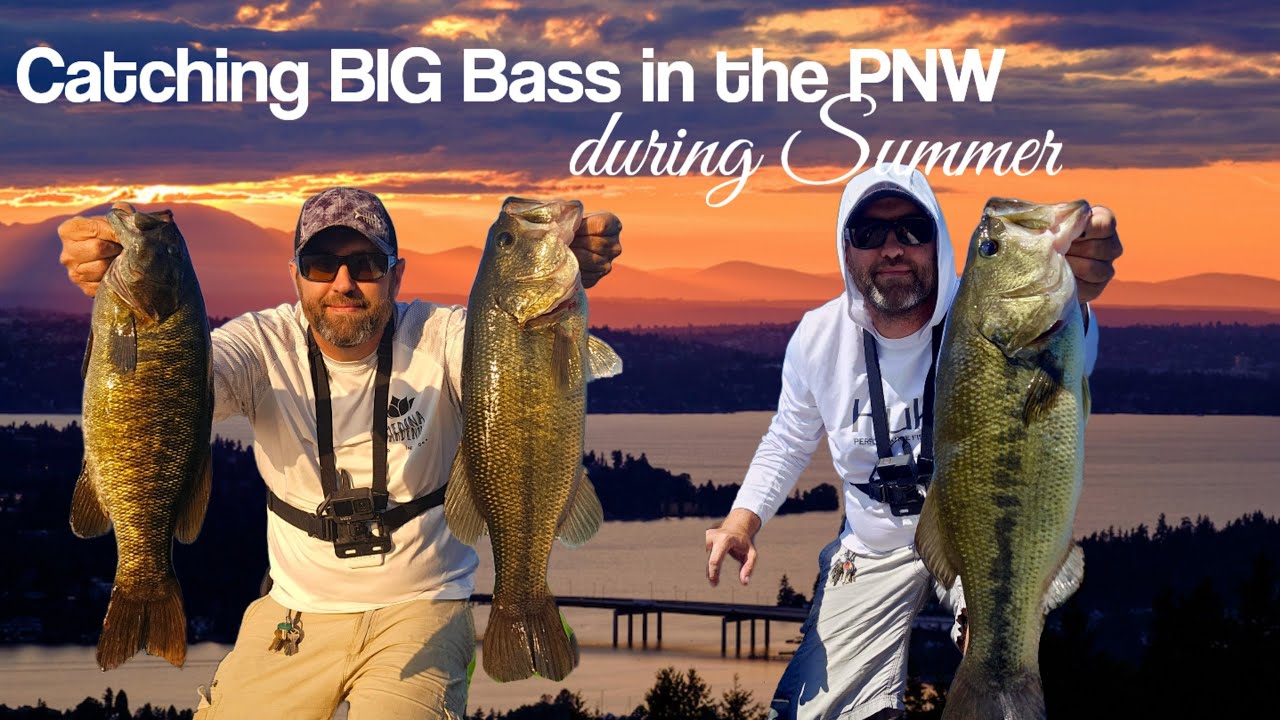 PNW Bass Fishing – When the Summer Bite SUCKS try these baits + BONUS offshore tips!
