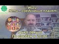 Йоги. Юти – соединение планет. 4-я лекция. Луна. 7 пунктов анализа. Луна в соединении с планетами