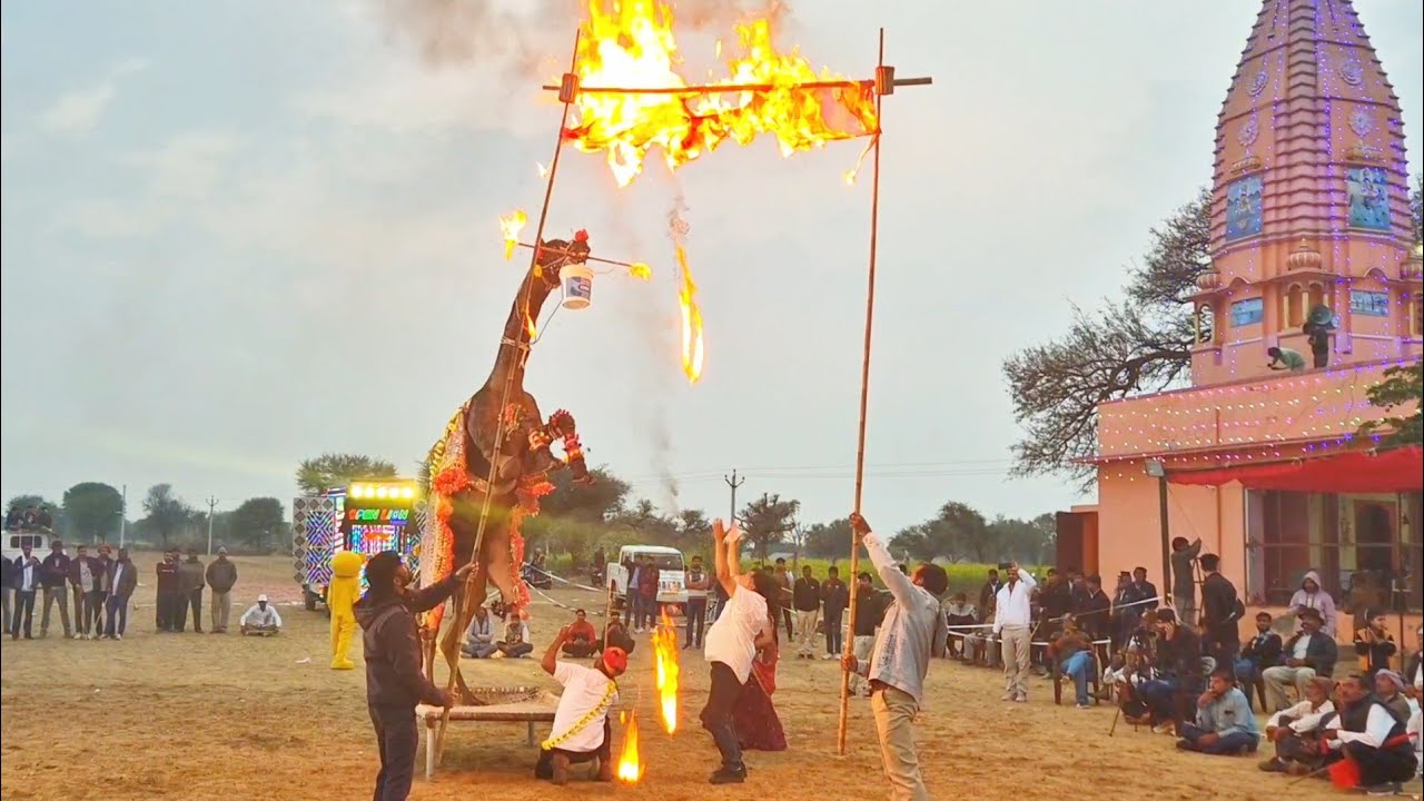 Camel Dance in Fire: Unbelievable Performance with Latest Song 2025